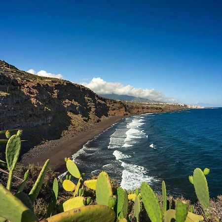 Dragos Del Mar , Espacio Natural La Orotava Exterior foto