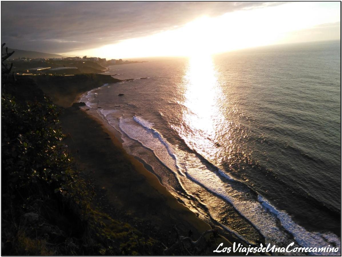 Dragos Del Mar , Espacio Natural La Orotava Exterior foto